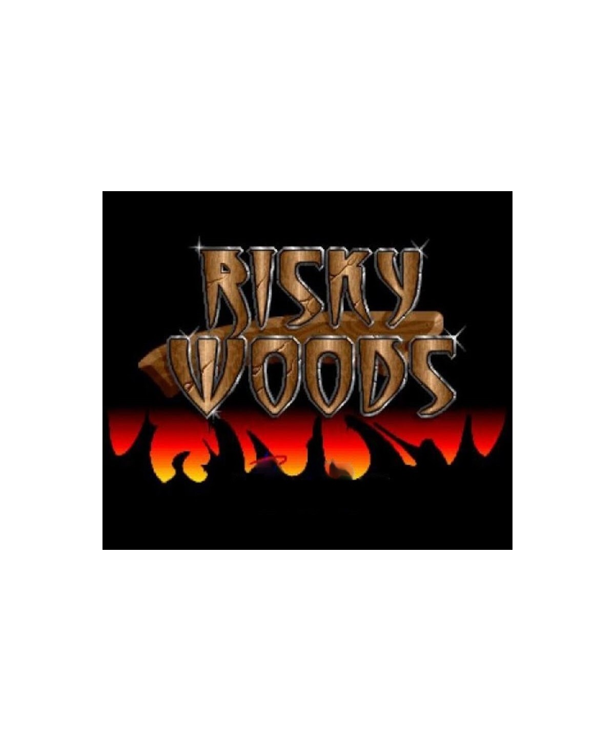 Risky Woods Steam Key GLOBAL